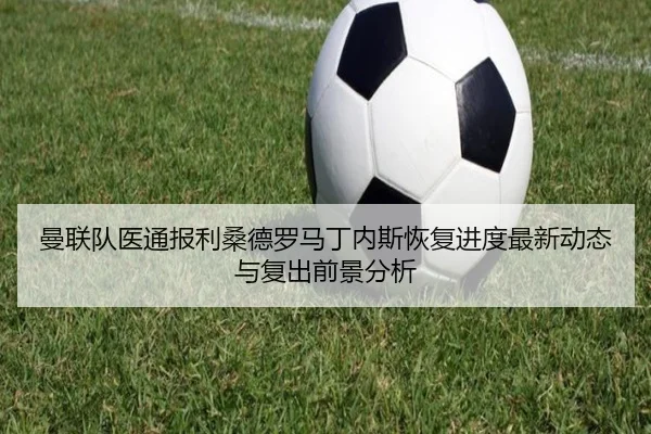 曼联队医通报利桑德罗马丁内斯恢复进度最新动态与复出前景分析 - aoko