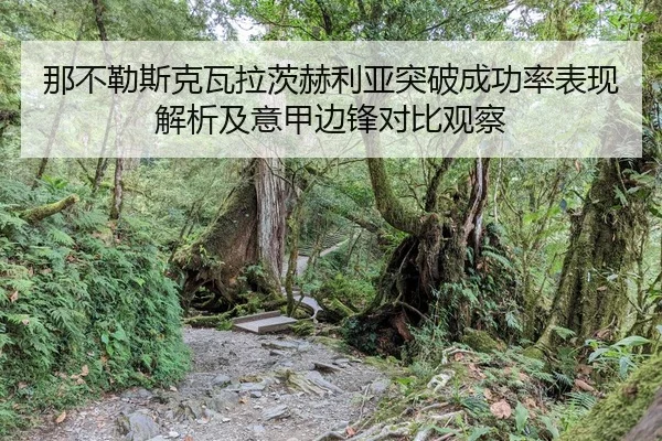 那不勒斯克瓦拉茨赫利亚突破成功率表现解析及意甲边锋对比观察